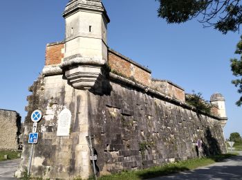 Tocht Stappen Marennes-Hiers-Brouage - 17-brouage-hiers-8km - Photo