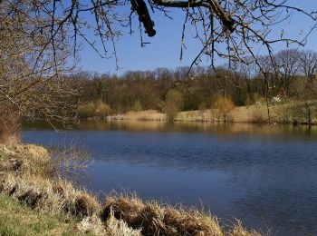 Trail On foot Zaberfeld - Seenweg in Zaberfeld - Photo