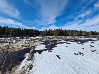 Trail On foot  - Tvåälvsleden - Photo