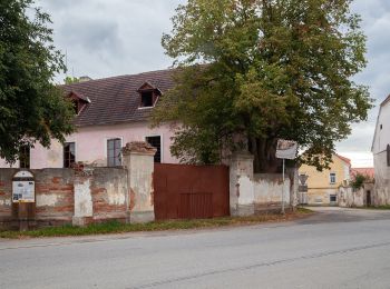 Randonnée A pied Všemyslice - naučná stezka Za Neznašovským kohoutem - Photo