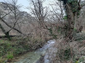 Randonnée Marche Saou - Saou Lestang 7 km. - Photo