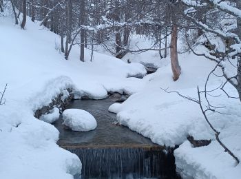 Randonnée Raquettes à neige Allos - Rando Raquettes Val d'Allos  - Photo