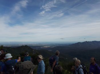 Randonnée Marche Maureillas-las-Illas - Le chemin des Trabucaires Cerret (3/10/2019° - Photo