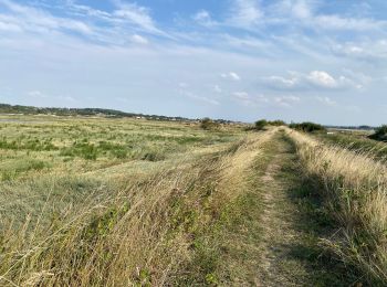 Tocht Wegfiets Le Touquet-Paris-Plage - Le Touquet Vélo - Photo