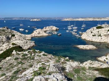 Randonnée Marche Marseille - Frioul - Photo