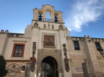 Tocht Stappen Sevilla - 20190102 Séville  - Photo