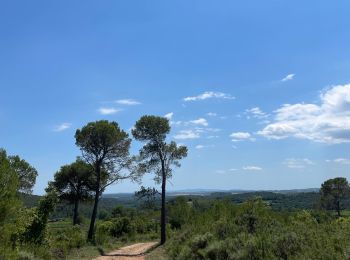 Tour Wandern Cistella - Cistella Vilariy - Photo