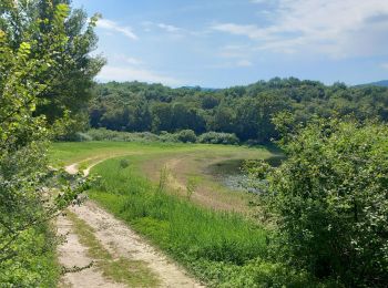 Tour Wandern Arboys-en-Bugey - lac darmaille en amoureux - Photo