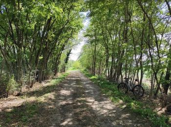 Tocht Mountainbike Saint-Priest - Saint-Priest Cyclisme sur route - Photo