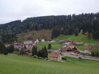 Trail Walking Schonach im Schwarzwald - Schonach Triberg  - Photo