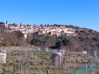 Tocht Mountainbike Draguignan - 20220111 vtt route - Photo