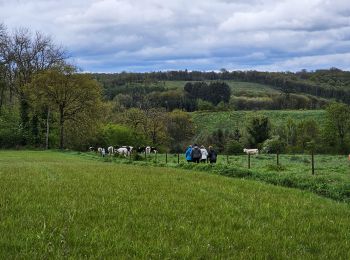 Randonnée Marche Philippeville - Balade à Omezée - Photo