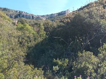 Excursión Senderismo Gémenos - St Pons-Gémenos-26-04-2023 - Photo