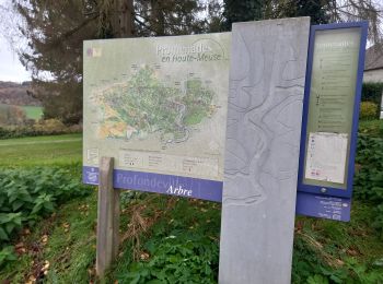 Randonnée Marche Profondeville - Arbre (Profondeville) - Photo