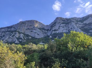 Percorso Marcia Mas-de-Londres - face nord pic Saint Loup  - Photo