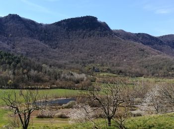 Trail On foot Olot - Cuursa de la Moixina - Photo