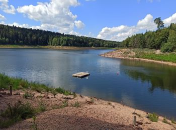 Randonnée V.T.T. Celles-sur-Plaine - Tour lac Pierre Percée 2020 - Photo