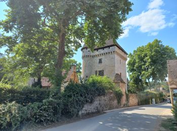 Randonnée Marche Peyzac-le-Moustier - Boucle panoramique au dessus de la Vézère - Photo