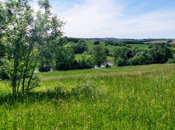 Randonnée A pied Mauvezin - Mauvezin :Le Gouffre de La Hobio - Photo