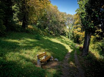 Percorso A piedi Gemeinde Baden - Beethoven Panoramaweg - Photo