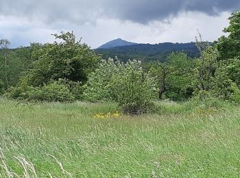 Trail Walking Blanzat - PLATEAU DE LA BADE - Photo