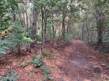 Trail Walking Kasterlee - 68.509A Kasterlee - Kleine Nete - Photo