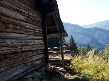 Tour Wandern Glières-Val-de-Borne - Petit Bornand - Pointe d'Andey 29/07/2018 - Photo