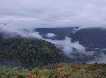 Trail Walking Ignaux - Le signal du Chioula  - Photo