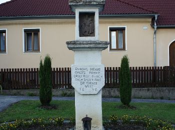 Trail On foot Gemeinde Pilgersdorf - Pilgersdorf - Raipel Bernstein - Photo