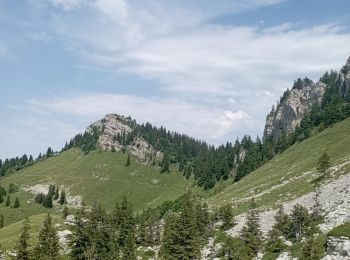 Trail Walking Saint-Pierre-de-Chartreuse - grand sure - Photo