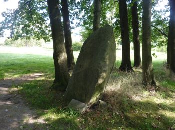 Tour Zu Fuß Beiersdorf - Beiersdorfer Ringweg - Photo