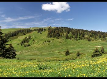 Excursión Senderismo Villard-sur-Doron - Mont Bisanne et Croix de Coste - Photo