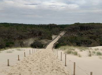 Tocht Stappen Carcans - Fifi/zot - Photo