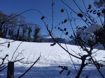 Tocht Stappen La Buisse - vers le col de la placette - Photo