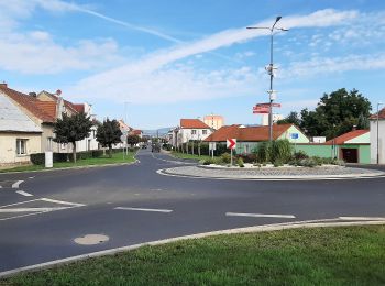 Percorso A piedi Litoměřice - [Z] Sebuzín - Litoměřice - Photo