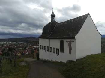 Tour Wandern Marlenheim - le vignoble de marlenheim (circuit) - Photo