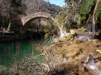 Tocht Stappen Saint-Cézaire-sur-Siagne - Incursion dans le Var et retour depuis Saint Cezaire - Photo