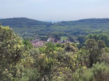 Tocht Stappen Saint-Laurent-de-Carnols - chapelle de Valbonne - Photo