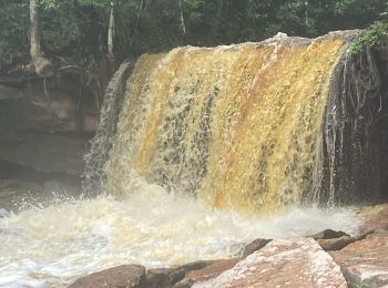 Randonnée Marche Rio Preto da Eva - Malaxassent 7 - Photo