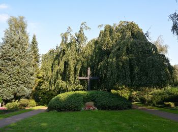 Trail On foot Meldorf - Wanderwege in und um Meldorf Tour 3 - Photo