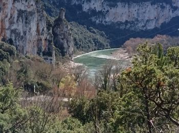 Tocht Stappen Vallon-Pont-d'Arc - cascade de pissevieille - Photo