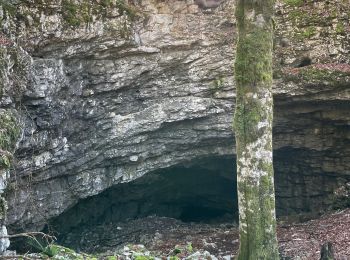 Randonnée Marche Saint-Martin-en-Vercors - Herbouilly - Photo