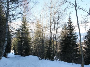 Excursión A pie Combloux - Balade panoramique du Haut-Combloux - Photo