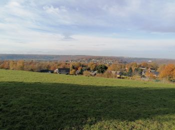 Randonnée Marche Esneux - esneux - Photo