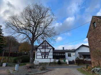 Tour Zu Fuß Mechernich - Katzensteine Rundweg A2 - Photo