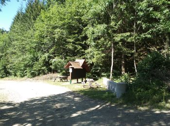 Randonnée Marche Wegscheid - Circuit des Rochers - Photo