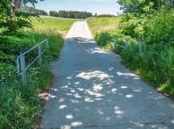 Randonnée A pied Römerswil - Neudorf - Herlisberg - Photo