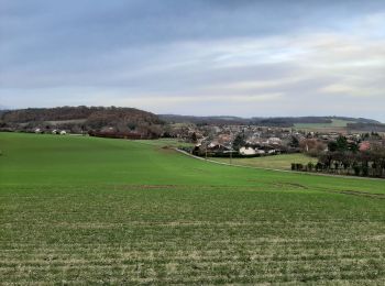 Tocht Stappen La Saulsotte - Rando Santé du 27 nov. - La Saulsotte - Photo