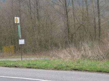 Tocht Te voet Gutsbezirk Reinhardswald - Fuldatal-Wilhelmshausen, Rundweg 2 - Photo