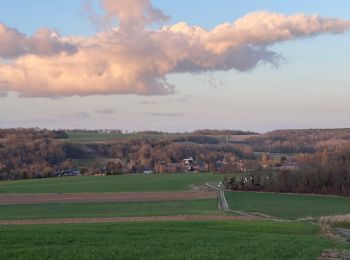 Trail Walking Vaudancourt - V 08 - Vaudancourt, plateau, breuil, chemin pédestre,  Boury , château , Vaudancourt - Photo